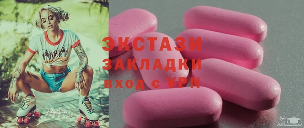 дживик Краснослободск