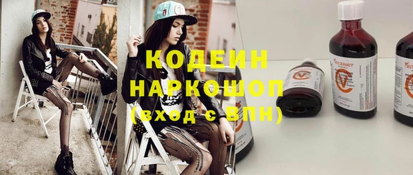 дживик Краснослободск