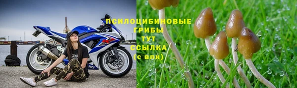 не бодяженный Лагань