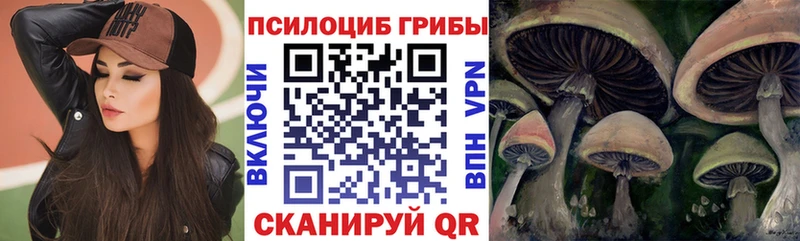 купить закладку  MEGA сайт  Галлюциногенные грибы GOLDEN TEACHER  Лихославль 